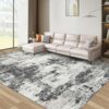 8x10 Area Rugs for Living Room: Abstract Washable Rug with Anti-Slip Backing Non-Shedding Stain-Resistant Soft Modern Large Carpet for Bedroom...