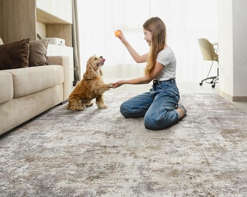 9x12 Area Rug Living Room Rugs - Washable Neutral Modern Abstract Soft Thin Large Rug Indoor Floor No Slip Rug Carpet for Bedroom Under Dining...