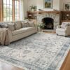 Area Rugs 5x7, Washable Rugs for Living Room, Vintage Boho Light Blue Rug for Office, Dining Room, Kids Room and Farmhouse, Durable Low Pile...