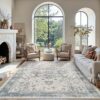 Area Rugs 5x7, Washable Rugs for Living Room, Vintage Boho Light Blue Rug for Office, Dining Room, Kids Room and Farmhouse, Durable Low Pile...